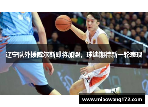 辽宁队外援威尔斯即将加盟，球迷期待新一轮表现